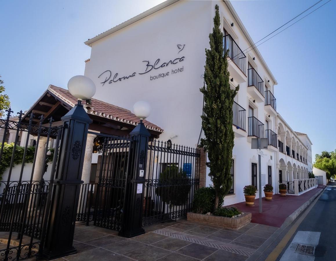 Paloma Blanca Boutique Hotel- Adults Recommended Marbella Exterior foto